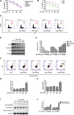 Lansoprazole Alone or in Combination With Gefitinib Shows Antitumor Activity Against Non-small Cell Lung Cancer A549 Cells in vitro and in vivo
